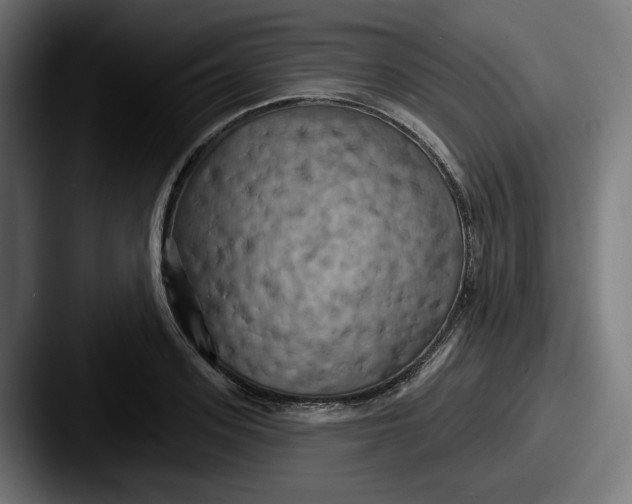 X0000087530939200705181028