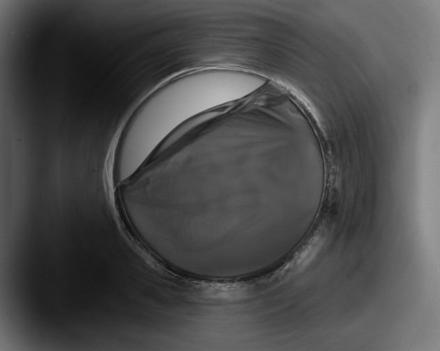 X0000087530941200705181028