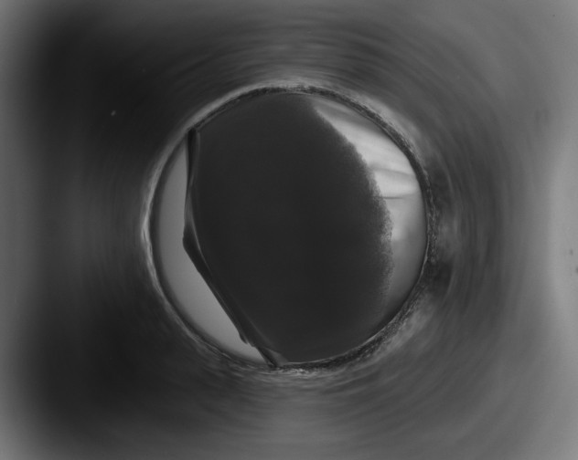 X0000087530943200705181028