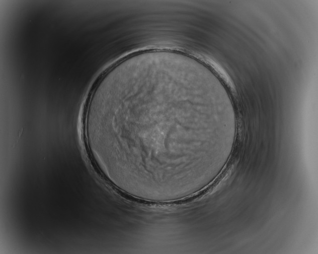 X0000087530944200705181028