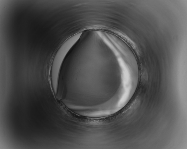 X0000087530945200705181028