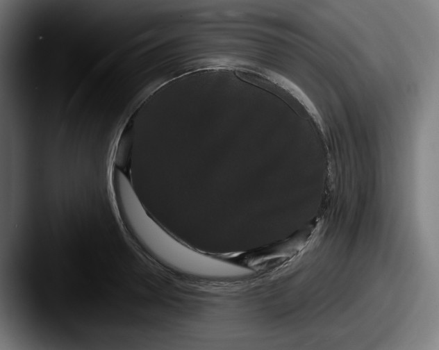 X0000087530946200705181028