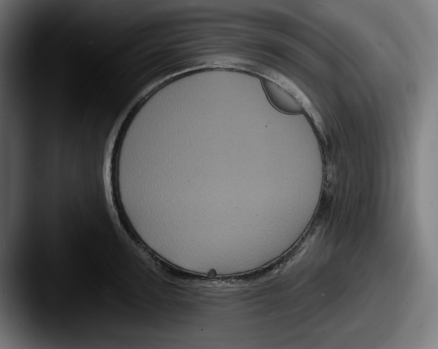 X0000087530947200705181028