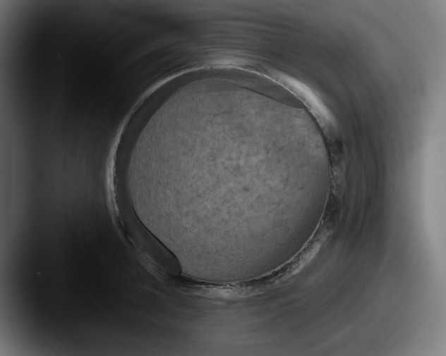 X0000087530948200705181028