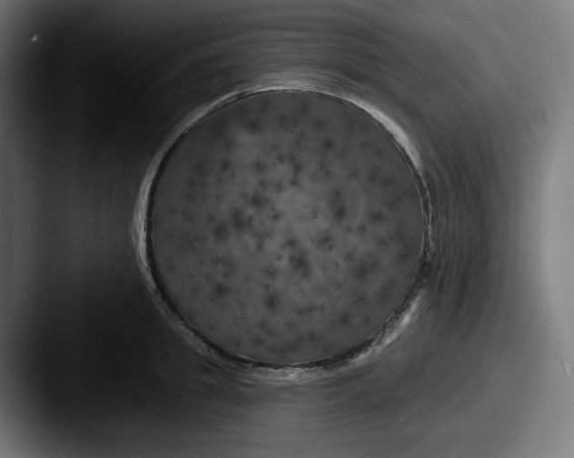 X0000087530949200705181028