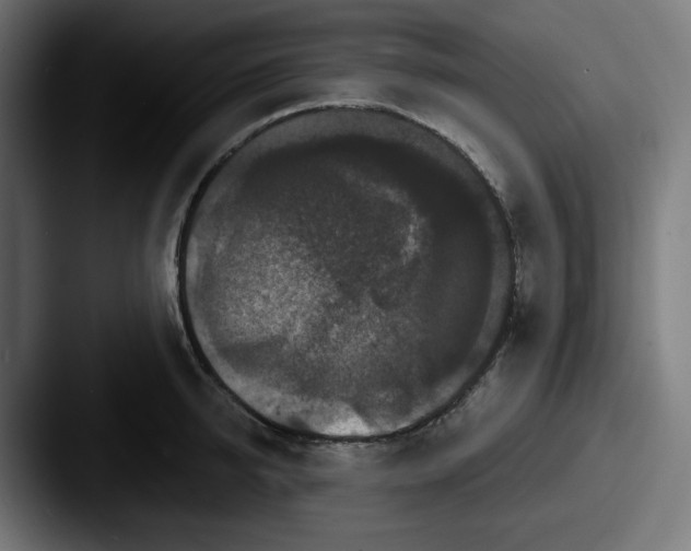 X0000087530950200705181028