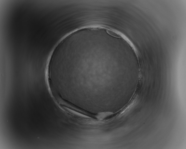 X0000087530951200705181028