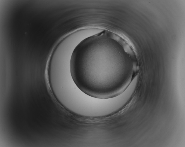 X0000087530952200705181028