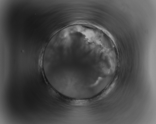 X0000087530953200705181028