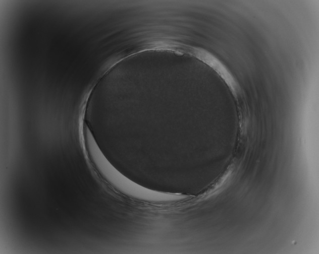 X0000087530954200705181028