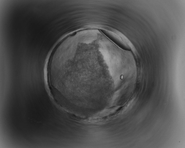 X0000087530955200705181028