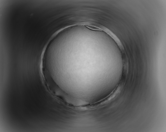 X0000087530956200705181028