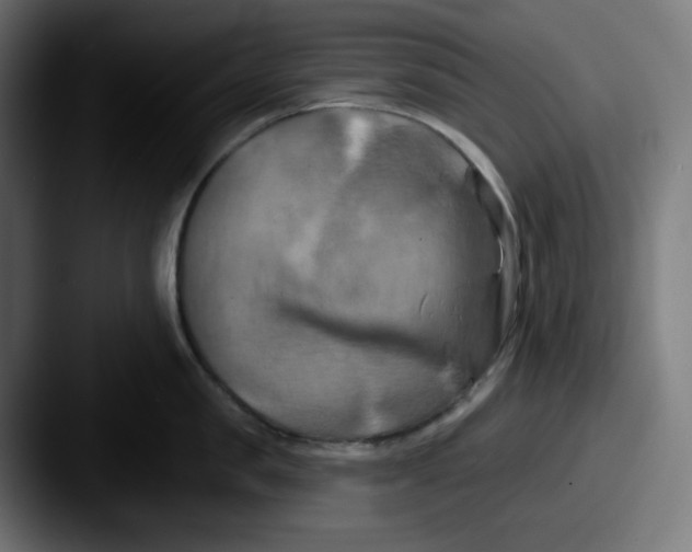 X0000087530957200705181028