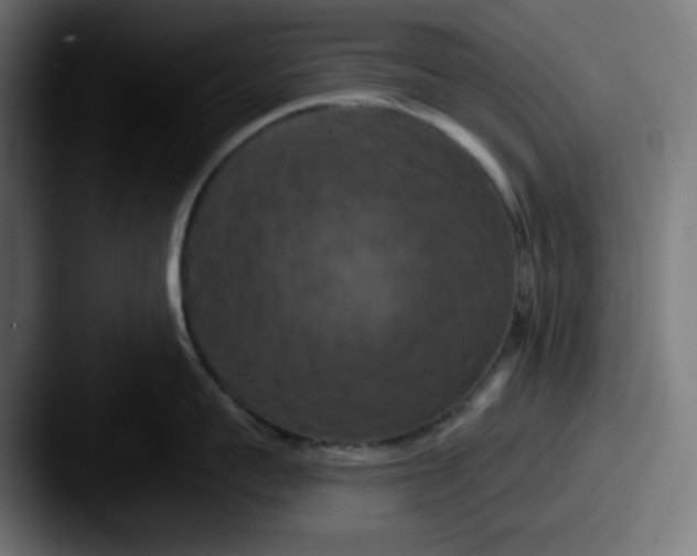 X0000087530959200705181028