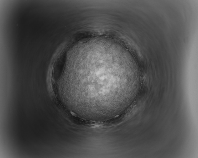 X0000087530961200705181028