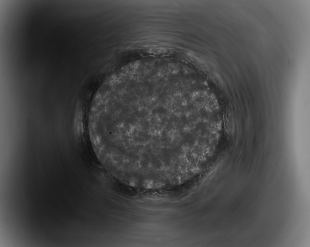 X0000087530962200705181028