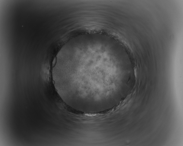 X0000087530963200705181028