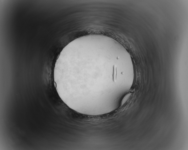 X0000087530964200705181027