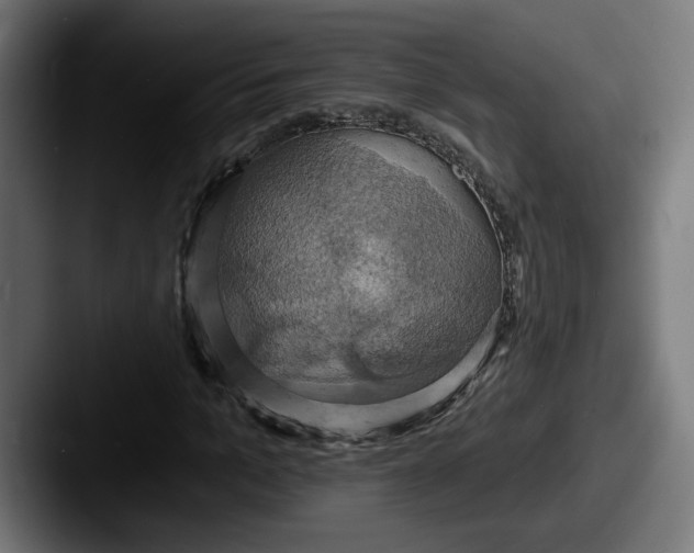 X0000087530965200705181027