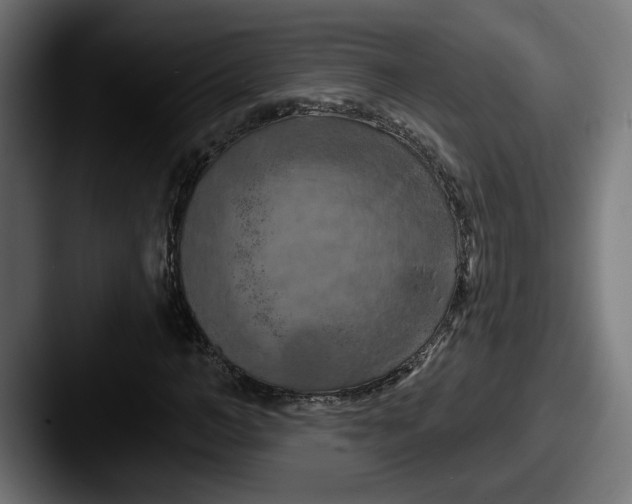 X0000087530966200705181027