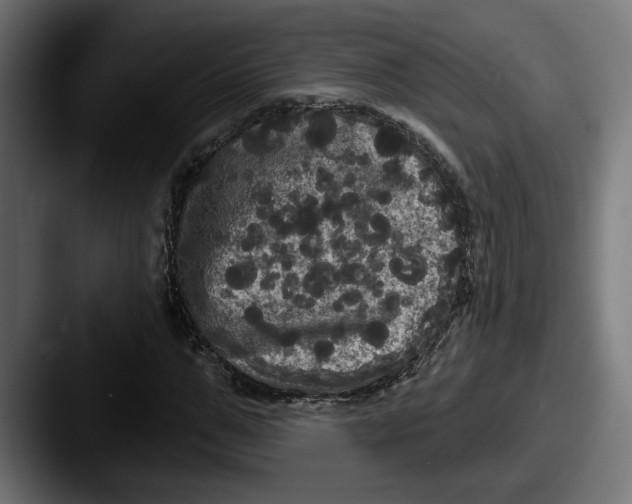 X0000087530967200705181027