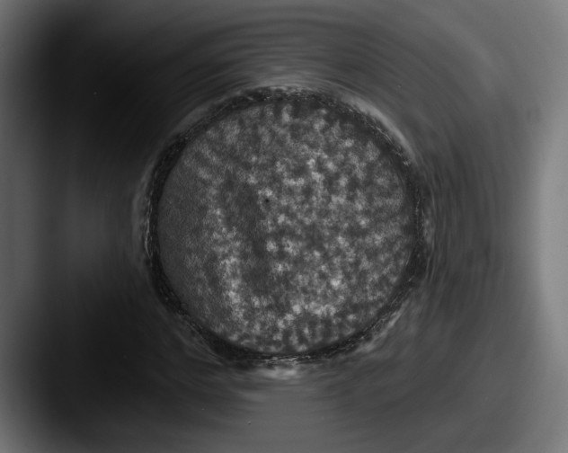 X0000087530968200705181027