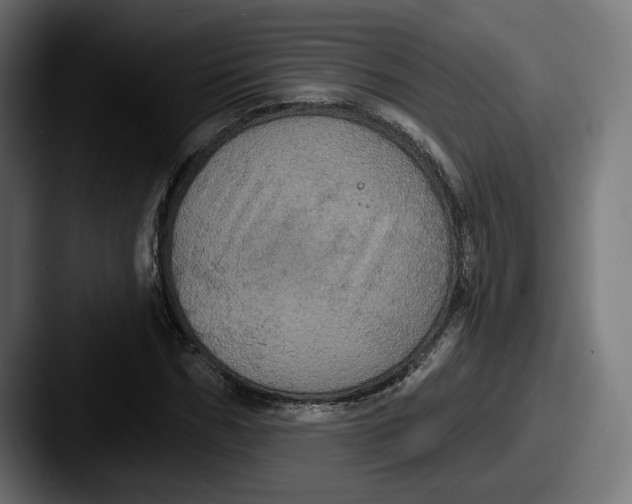 X0000087530970200705181027