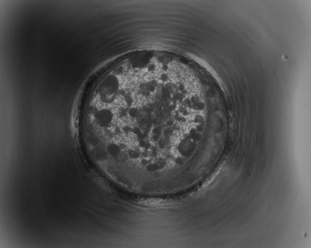 X0000087530971200705181027