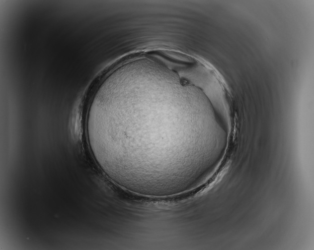 X0000087530973200705181027