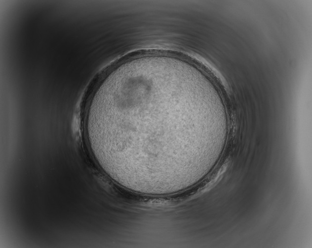 X0000087530974200705181027