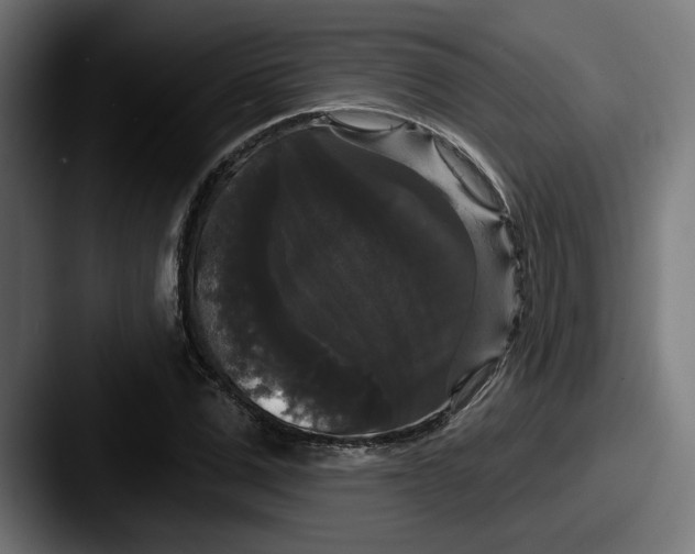 X0000087530975200705181027