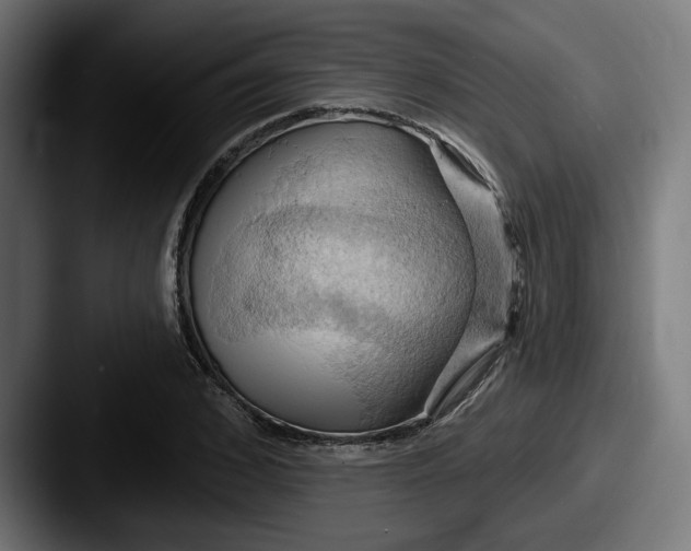 X0000087530976200705181027