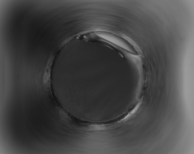 X0000087530977200705181027