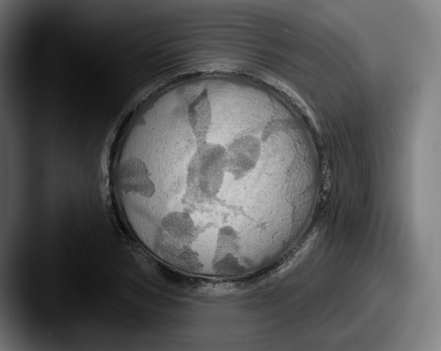 X0000087530978200705181027