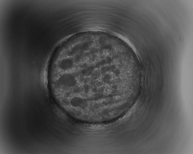 X0000087530979200705181027