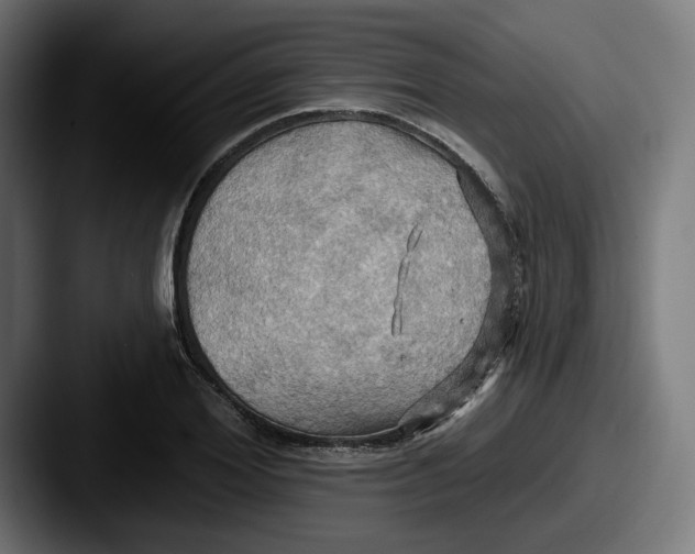 X0000087530980200705181027