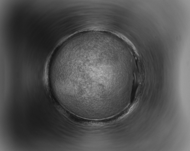 X0000087530981200705181027