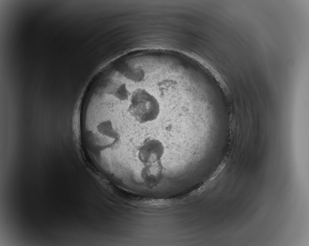 X0000087530982200705181027