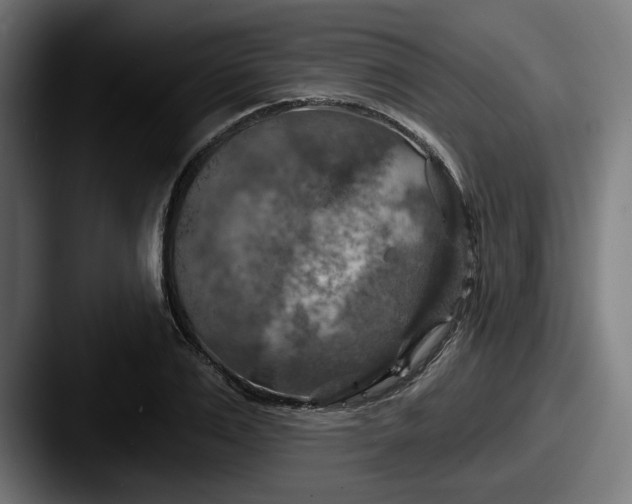 X0000087530983200705181027