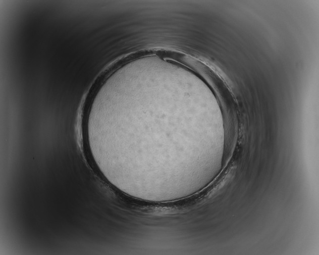 X0000087530984200705181027