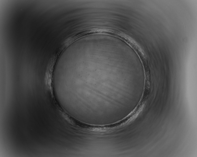 X0000087530985200705181027