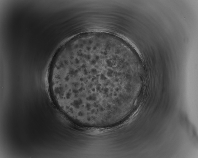 X0000087530987200705181027