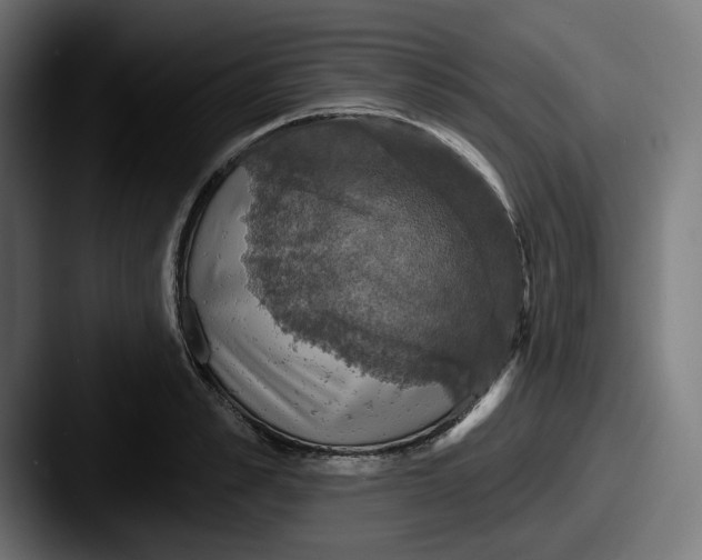 X0000087530989200705181027