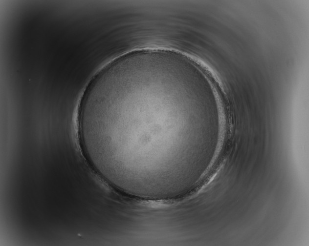 X0000087530990200705181027