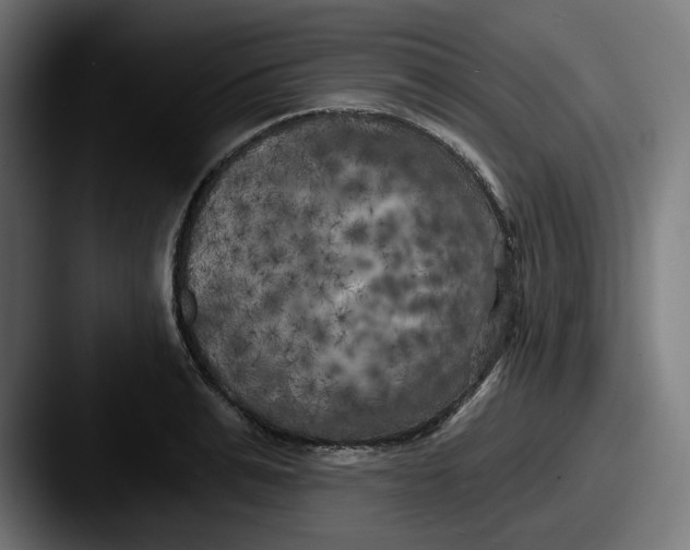 X0000087530991200705181027