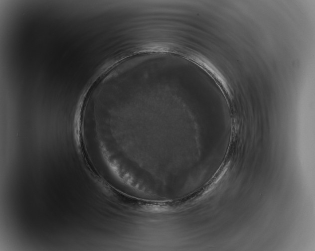 X0000087530994200705181027