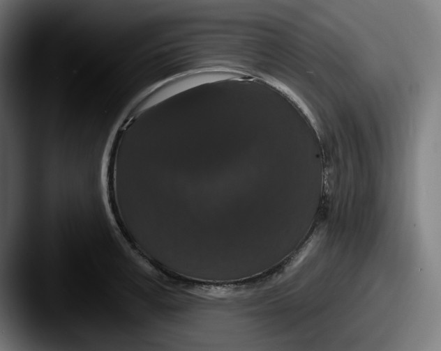 X0000087530995200705181027