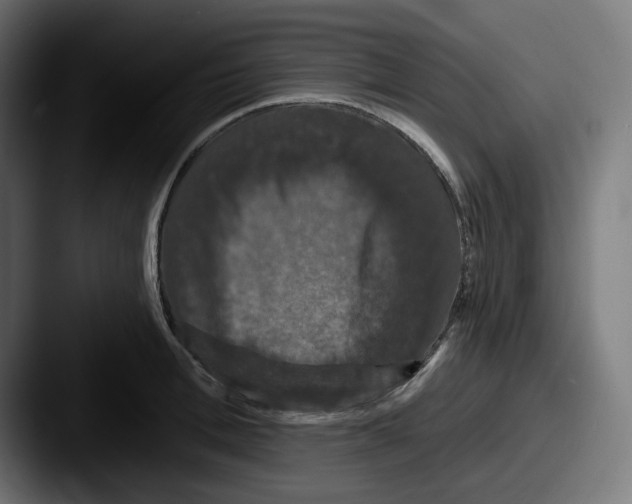 X0000087530996200705181027