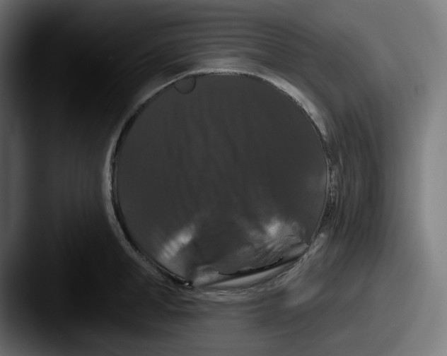 X0000087530998200705181027