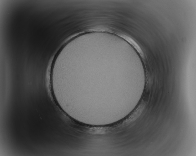 X0000087531000200705181027